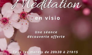 Séances Méditation en visio (3)