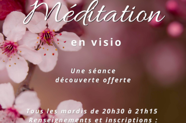 Séances Méditation en visio (3)