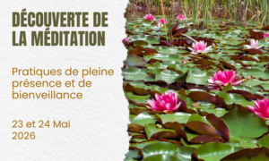 Decouverte de la meditation (1)